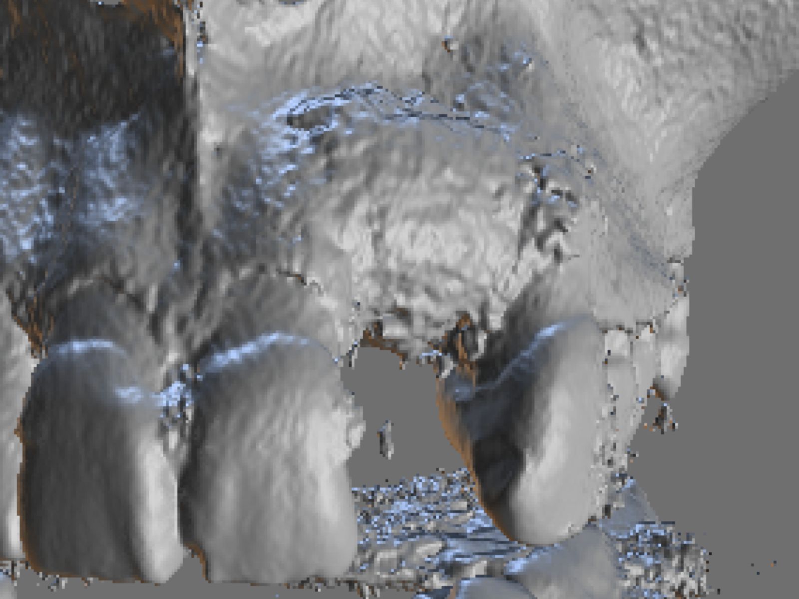 Grafting Masterclass Melbourne