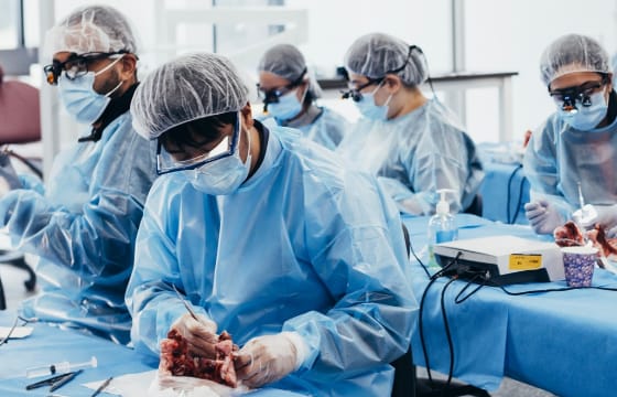 Mastering the Art of Grafting: A Hands-On Training Experience