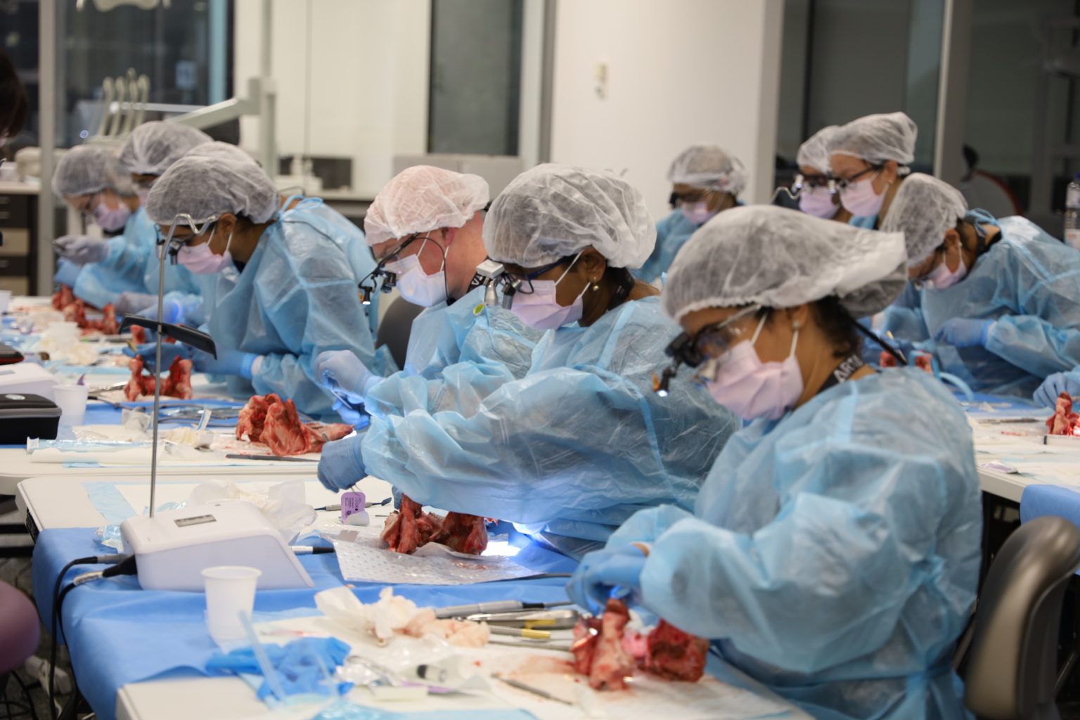 dentist in tissue grafting class